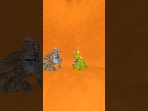 DELETING IN 1 HOUR! #gorillatag