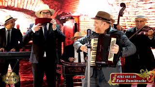 Taraful Fane Dumitrache \u0026 De esti Nasa democrata / Cantecul lu Nasa mare-New 2026