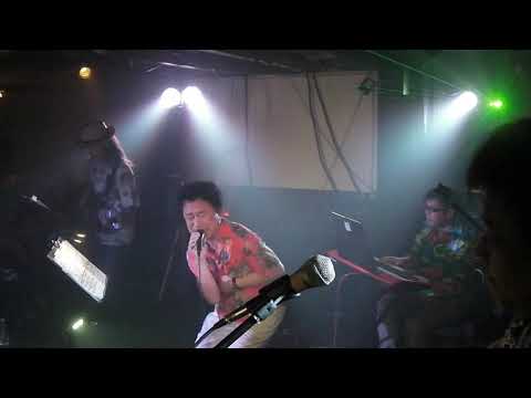 真夏の果実：Brown Dogs