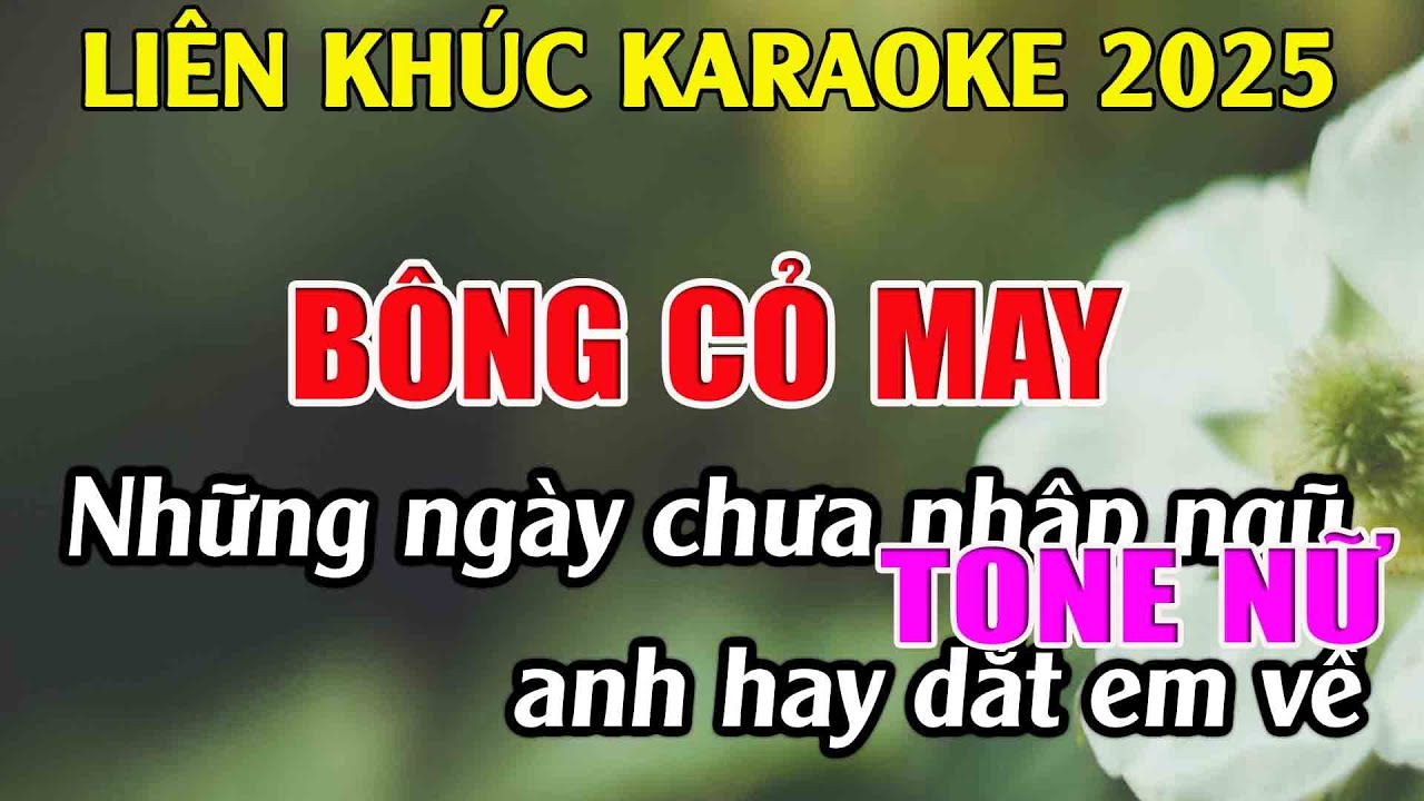 Liên Khúc Karaoke Tone Nữ Dễ Hát Karaoke Bông Cỏ May Karaoke Tuyệt Phẩm - Beat Mới