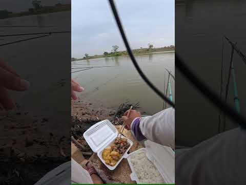 Câu cá cùng bố - Trọng Minh Fishing #fishing #cauca