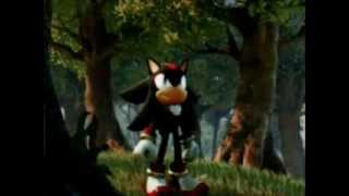 Trouble maker shadow the hedgehog retry Wealth