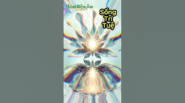 Thế nào là người sống trí tuệ- Lời Dạy Đức Phật 🙏 🙏🙏