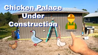 The Plot Chickens | Building the Chicken Queens their own Chicken Palace | Chicks & Eggs Incoming