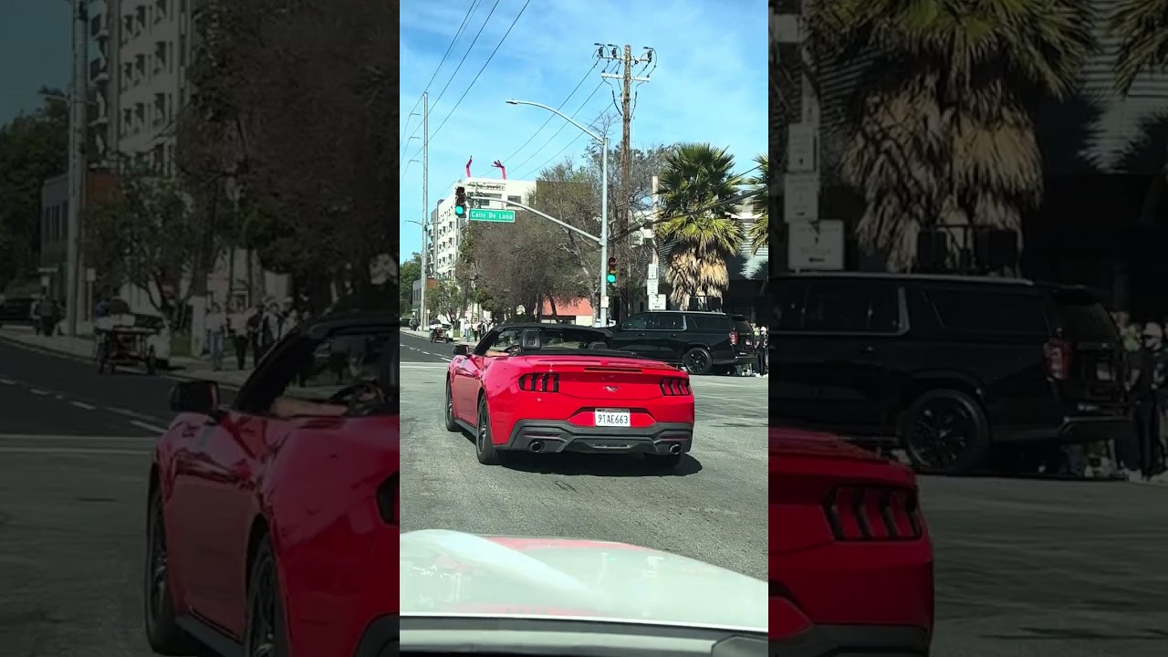 Super Bowl Santa Clara, California 2026 ✌️🇺🇸😎👍￼