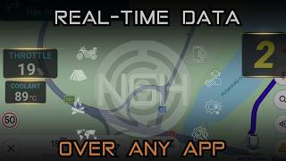 Carpe Iter NGH – Widgets & Overlays: Real-Time Data Over Any App