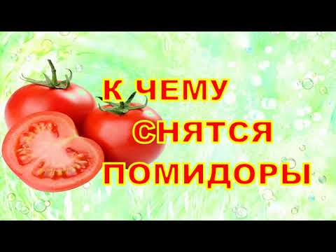 К Чему Снятся ПОМИДОРЫ? Толкование снов.