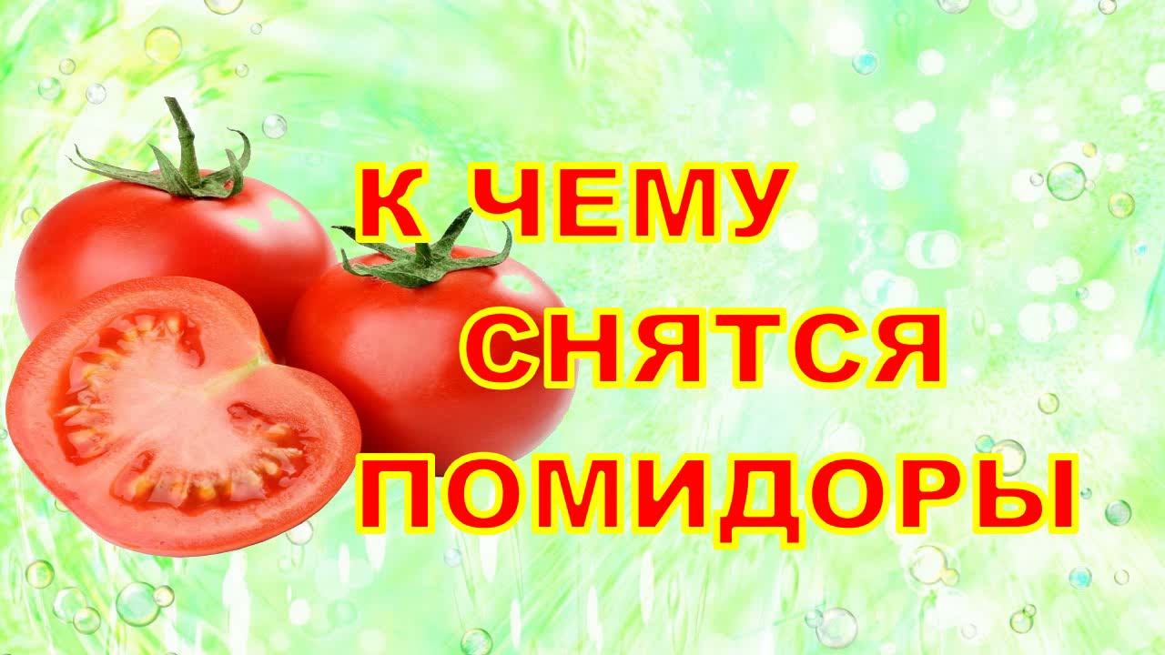 К Чему Снятся ПОМИДОРЫ? Толкование снов.