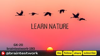 @BrainTestWork-193 (GK-20) | General Knowledge | MCQs | Animals | सामान्य ज्ञान | 基本知识 | GK screenshot 3