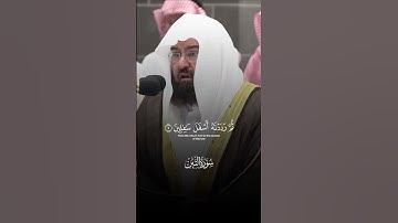 و التين والزيتون | تلاوة مرئية | سورة التين | الشيخ عبدالرحمن السديس