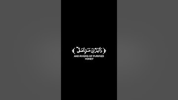 كروما شاشة سوداء قرآن كريم 🌿تلاوة من سورة محمد 🌿القارئ رعد الكردي 🌿