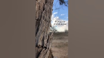مواساة ربانية🥺✨||لا تحزن إنَ الله معنا|| القارئ عبد الرحمن مسعد