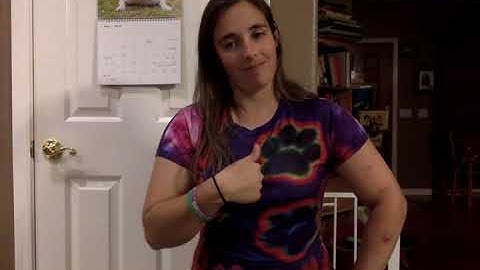 SLG Lesson 11 Assignment 1