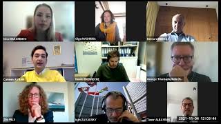 SEArica webinar by ICBSS & BBSC CPMR: Marine Litter in the Danube & the Black Sea region (4/11/2021)