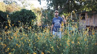 The Super Easy Organic Way to Kill Weeds & Build Soil
