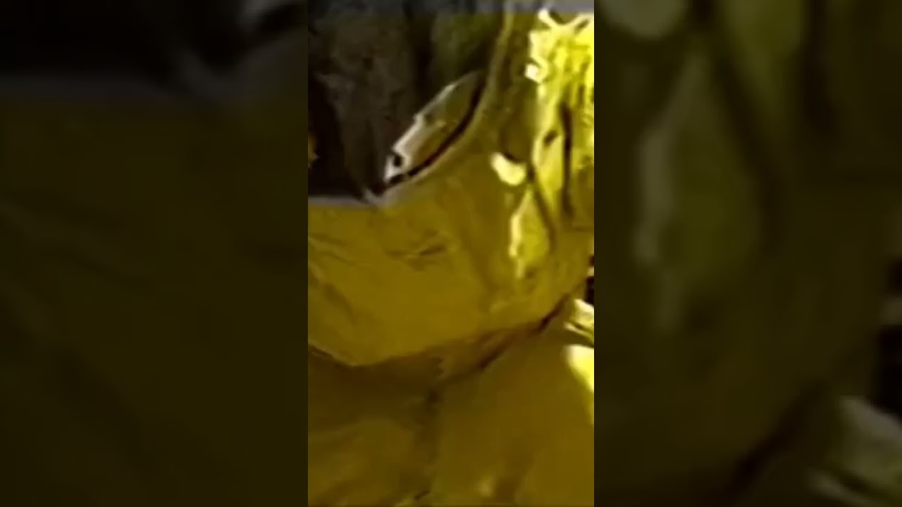 Backrooms Entity Trap 🔞