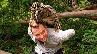 CAUGHT ON CAMERA: The Fascinating Behaviour of Extraordinary Animals