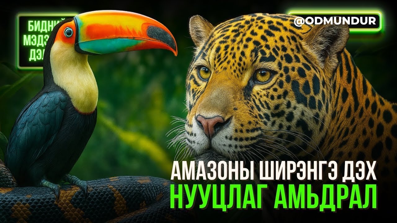 Амазоны ширэнгэ дэх нууцлаг амьдрал - БИДНИЙ МЭДЭХГҮЙ ДЭЛХИЙ