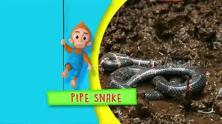 yoqolgan telefon pornosidan shaxsiy fotosurat