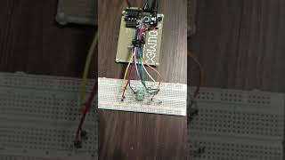 Celebrity Interfacing Lab 8 Programming 7 Segment Display Wealth
