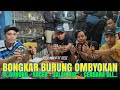 Update Stok Terbaru - TLedekan Gunung - Murai - Kacer - Jalak Rio&quot; - Cendana dll