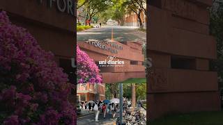 Download Lagu Friday at a Chinese University GDUFS Guangzhou China. #china #student #travel #chineseculture #china MP3