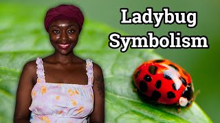 Lady Bug Spirit Animal Totem