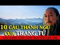 10 câu thành ngữ trí tuệ của TRANG TỬ - Thiền Đạo