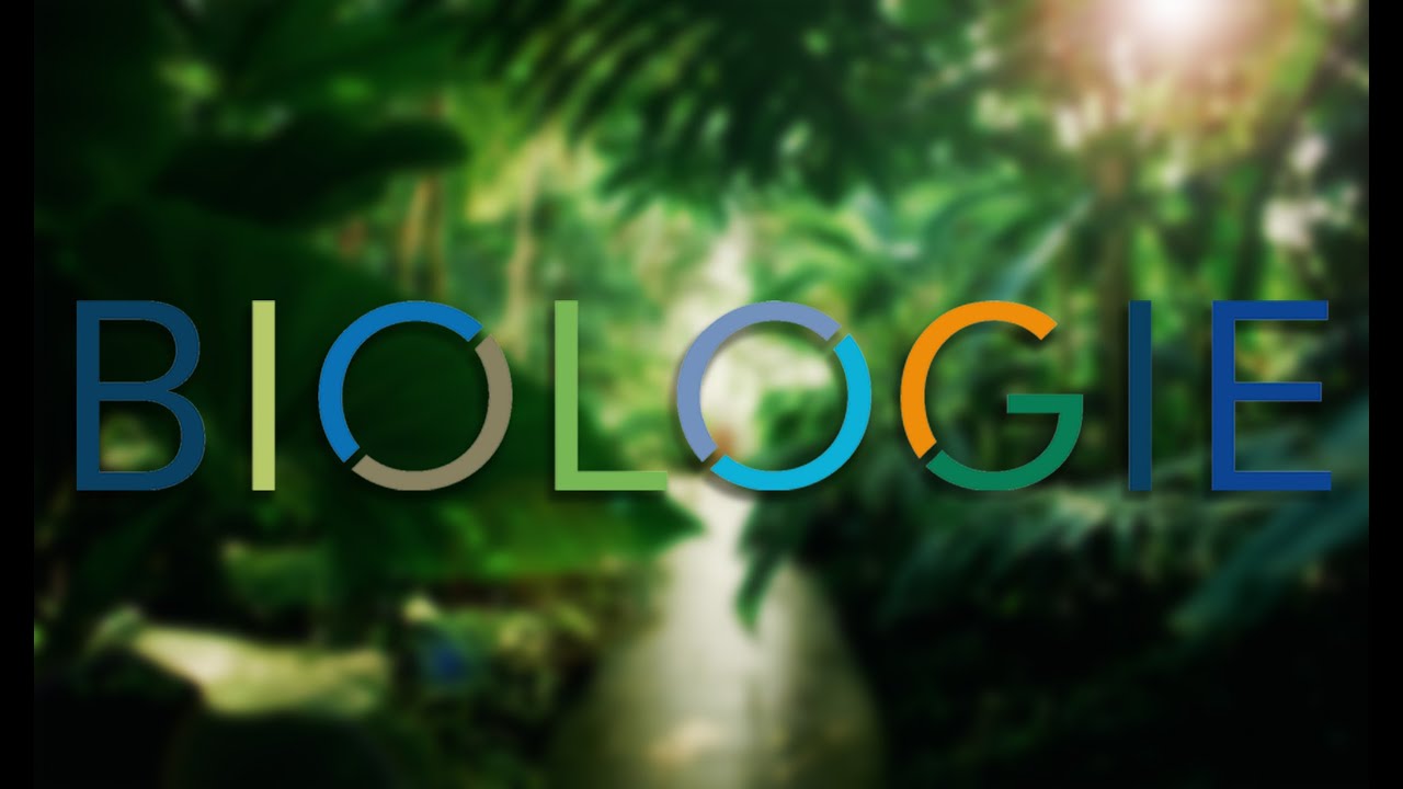 The Faculty of Biology at LMU