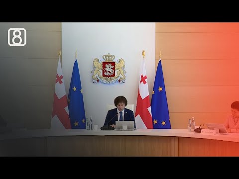 კობახიძის მთავრობის პირველი სხდომა აქციების პარალელურად