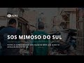 Sos mimoso do sul