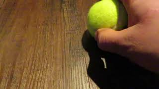 Squeaky Tennis Ball Puppy Dog Teaser