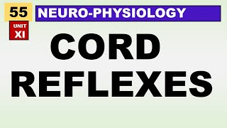 Ch#55 Physiology Guyton | Spinal Cord Motor Functions | The Cord Reflexes | Physiology Lectures