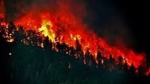 Ri21 Mag1b - RecensioniNCA (CrateriCircolari,ParadiseFiRE)