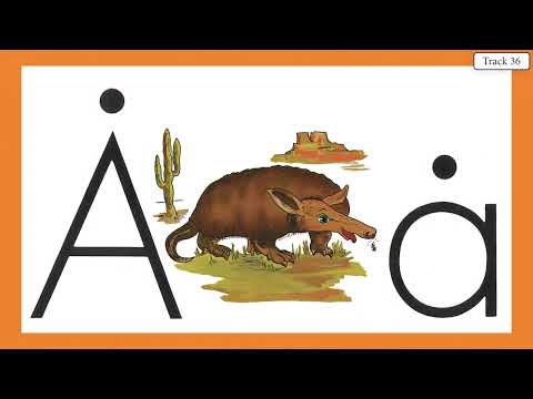 ARBY ARMADILLO 35