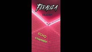 Echo Chamber Teaser