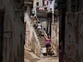 Así es la vida en Cuba #cubanosenmiami #etecsa #travel #irsedecuba #estadosunidos #cubanos