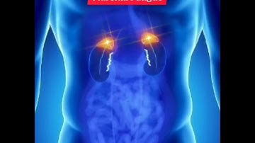 Light Language for Adrenal Fatigue - Garz Chan