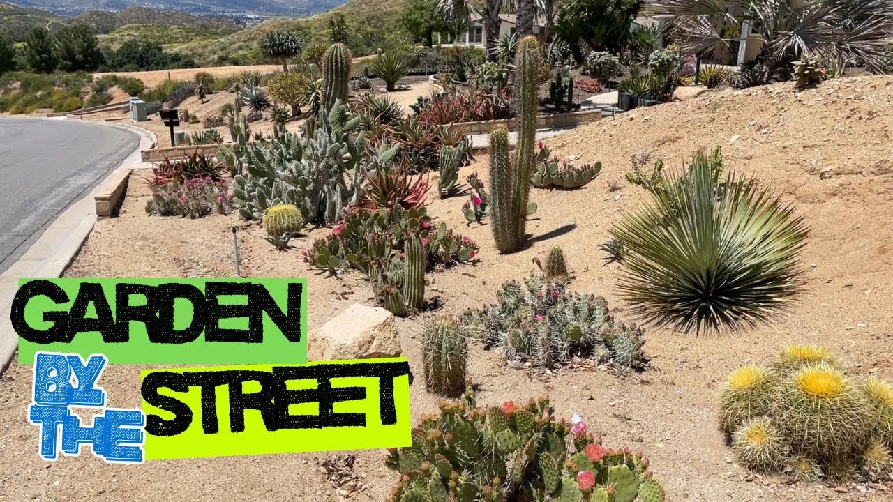 Типичный пустынный пейзаж Брента Уиганда