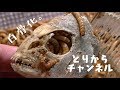 【閲覧注意】大量のミルワームが、鯛のアラを白骨化。【ミルワーム飼育】