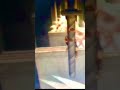 Hardcore moment of Prince of Persia#princeofpersia #hardcore#bestvideo #best #Game