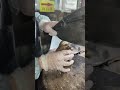 A Special Kind of Street Food in a Chinese Village #food #specialfood #streetfood