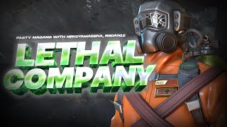 Hehe Company