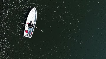 映画『ドキュメント サニーデイ・サービス』予告編