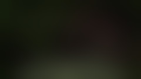 Rambo Combo Guide (Custom Variation)