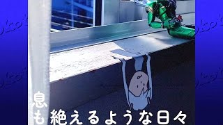 うそつき逃避行 / 初音ミク / okotyama