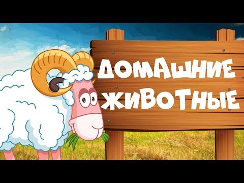 ДОМАШНИЕ ЖИВОТНЫЕ для детей - развивающие мультики учим животных для самых маленьких на русском