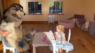 Adorable Baby Girl Has A Princess Tea Party With Her Wolves! (Cutest Ever!!)