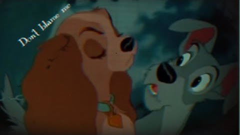 Don’t blame me | mp