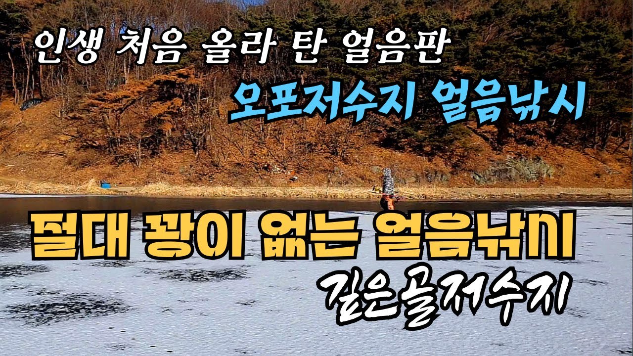 절대 얼지않던 오포지가 얼었다 손맛 찌맛 보장 깊은골  둘다 파보자!